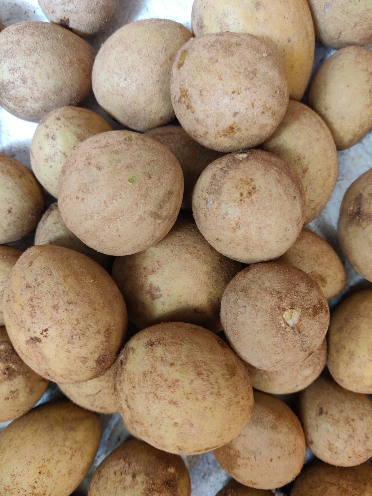 Organic Sapota - Chiku - (2Kg)