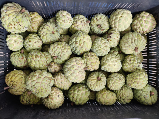 Desi Custard Apple Or Sithaphal - (2Kg)