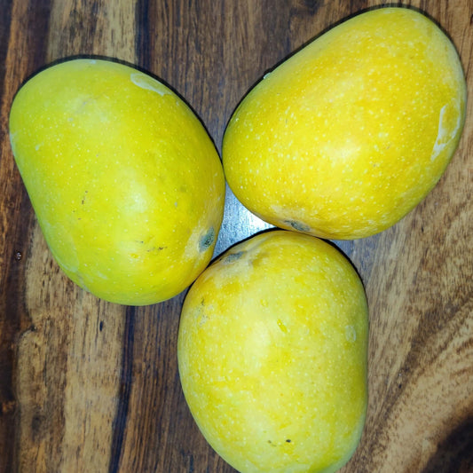 Alphonso (Organic & Naturally Ripened) - 3Kgs (11 to 15 Fruits)