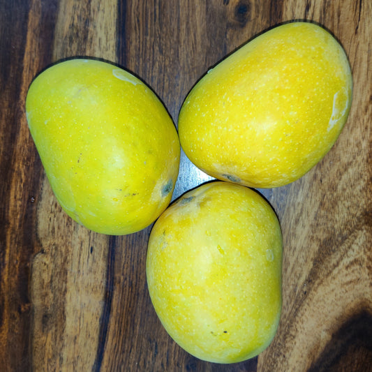 Alphonso Mango Organic & Naturally Ripened - (3Kg)