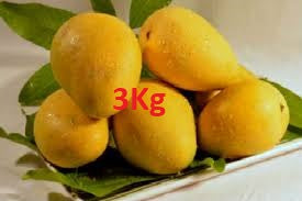 Banginapally Or Banganapalli or Benishan Mango (3Kg Pack)