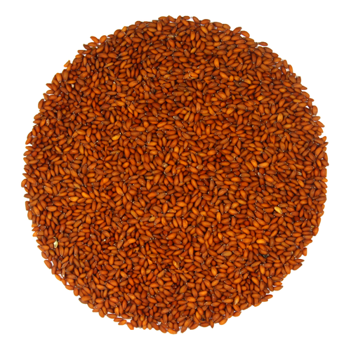 Halim Or GardenCress Seeds A1 - (250g)