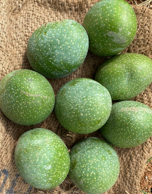 Panduri Juicy Mango (Organic & Naturally Ripened)  - 2Kgs (12 to 15 Fruits)