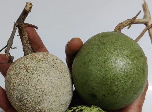 Ganesh Navratri Pooja Raw Fruits