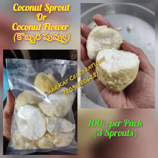 Coconut Sprout - Kobbari Puvvu (3 Sprouts Per Pack)