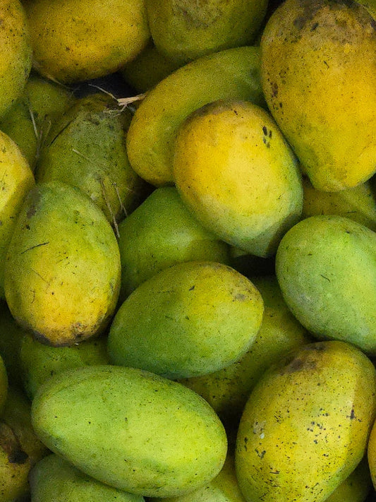 Mangoes Combo Pack (Kesar -Mehmooda - Pedda Rasaalu - Banginapally) - 5Kg