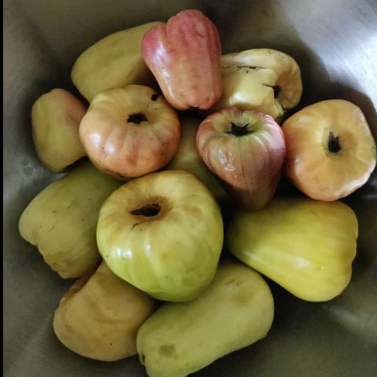 Cashew Apple - Jeedi Maamidi - (6Pcs)